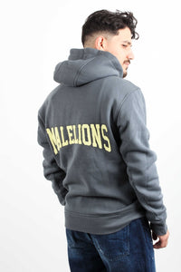 VARSITY HOODIE